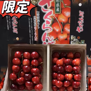 山形県産さくらんぼ　やまがた紅王