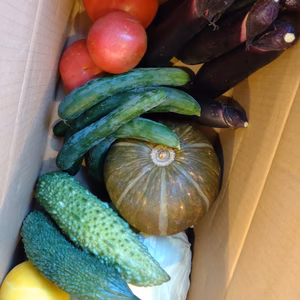 利興の夏野菜詰め合わせ