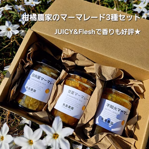 相模湾を望む柑橘農家の手作り♡香り好評‼季節のマーマレードセット3種