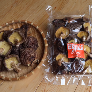 肉厚 原木乾燥椎茸/袋入り（熊本・阿蘇産）