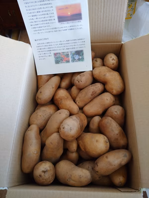 みんなの投稿の画像