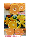 レア品付）ちょっと訳あり‼️2月から食べる柑橘❢5種春爛漫よくばりセット