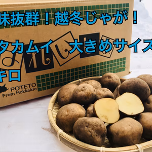 ●じゃがいも キタカムイ　大きめサイズ　●10キロ ●北海道