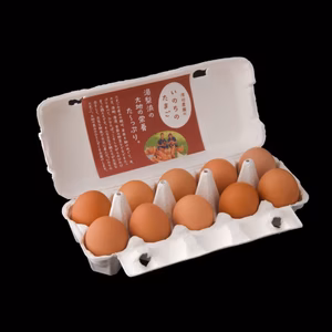 【期間限定春の1パック増量サービス】いのちのたまご3パック＋1パック