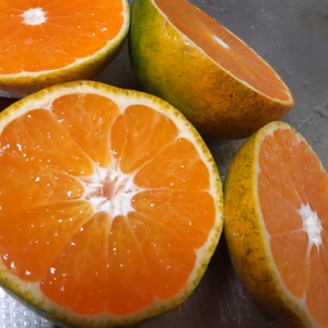 極早生みかん3級品（大小込）減農薬（外観悪い、中身は超綺麗）おまけ付き（レモン）