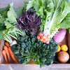 自然栽培・季節のおまかせ野菜セット　ほぼ固定種・在来種・自家採種も
