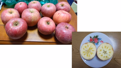 みんなの投稿の画像