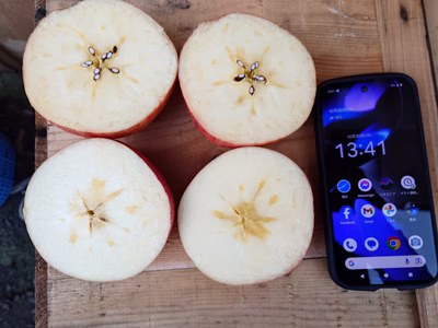 みんなの投稿の画像