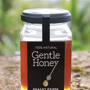 非加熱無添加蜂蜜　Gentle Honey 