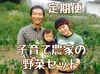 【毎月第2.4土曜発送】子育て農家の野菜セット　選べる2サイズ（クール便）