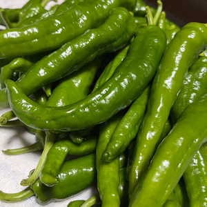甘長とうがらし（甘とう美人）1kg