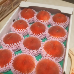 7/28まで一点物 超特大 日の出白桃 5キロ12玉