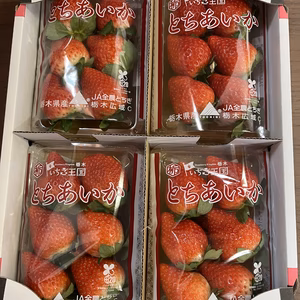 朝採り新鮮な大粒なとちあいか