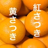 【4月発送】燃えゆ、八朔　〜烈火の如し〜　