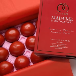ギフト【プレミアムトマト”まいひめ物語”　糖度9.5度以上　１ｋｇ化粧箱】