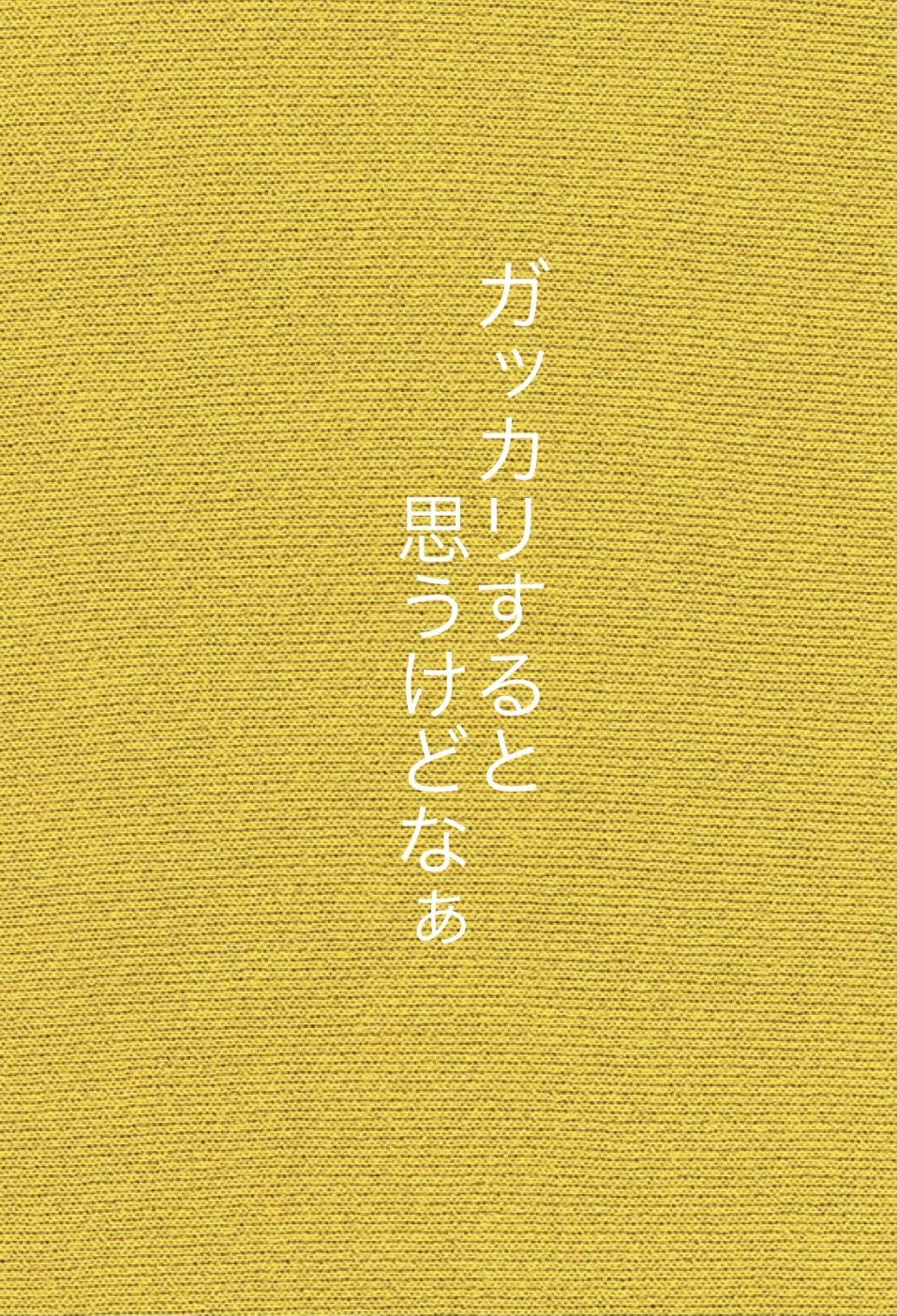 ガッカリすると思うけどなぁ 農家漁師から産地直送の通販 ポケットマルシェ