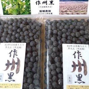 晴れの国岡山より　高級品種「作州黒豆」おせち煮豆用黒大豆（容量500g）黒豆