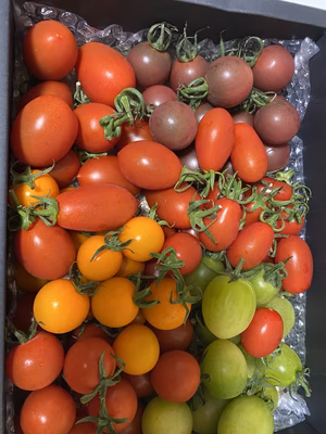 みんなの投稿の画像