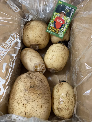 みんなの投稿の画像