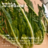 渥美半島産＊イタリア野菜セット