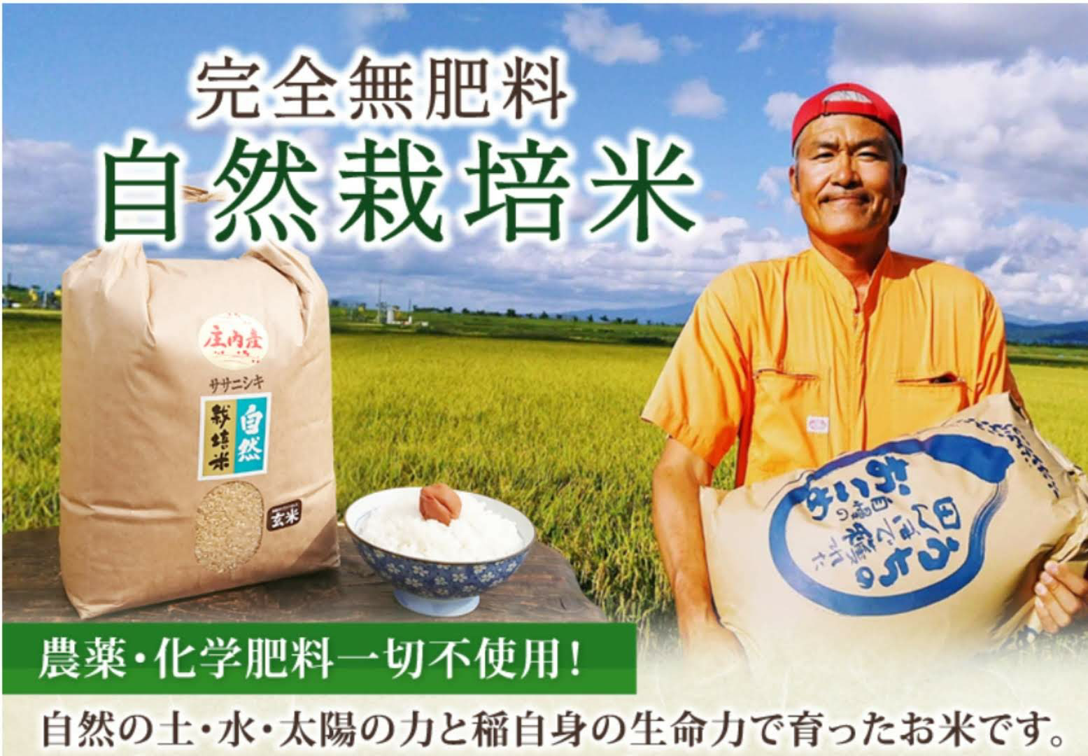 自然栽培米 幻の米 ササシグレ 令和５年産 山形県産 庄内米 玄米 25kg-