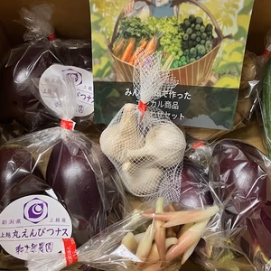 みんなの畑の野菜セット（茄子、他1種類以上」