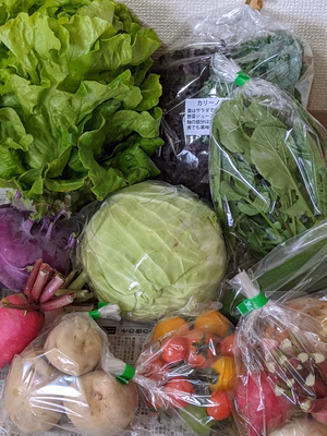 みんなの投稿の画像