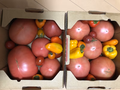 みんなの投稿の画像