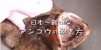 身近な道具でレッツ挑戦。日本一親切にアンコウの捌き方を紹介してみる