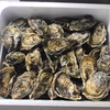 【生牡蠣】【生食用】M～Lサイズ2０個入り 三重県産 殻付き 浦村かき