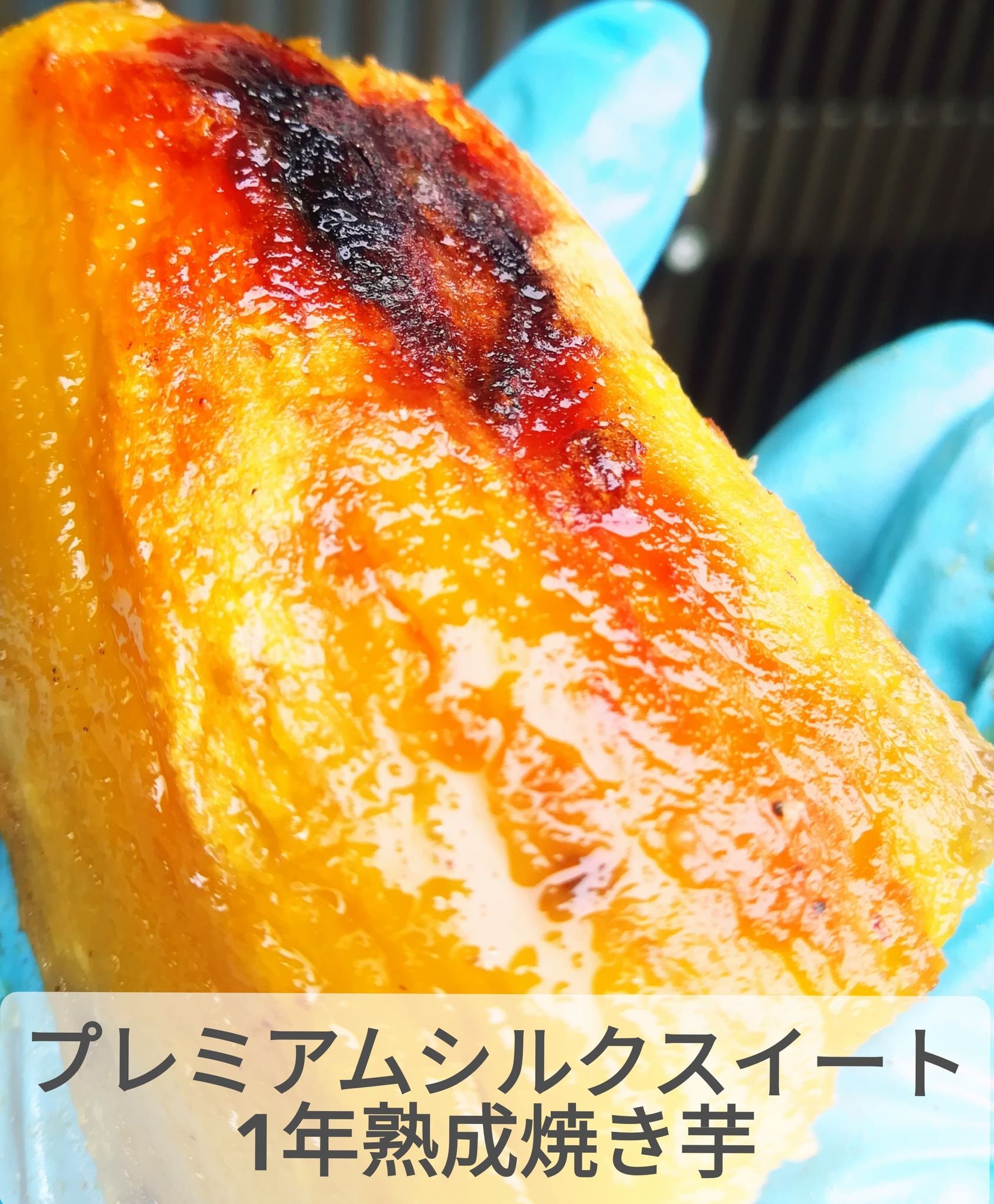 数量限定 1年熟成 プレミアムシルクスイートの焼き芋 加工食品の商品詳細 ポケットマルシェ 産直 産地直送 通販 旬の果物 野菜 魚介をお取り寄せ