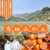 農家直送！【極早生みかん】訳あり≪サイズ混合≫【平武農園】