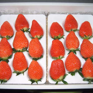 かなみひめ超特大18個入り