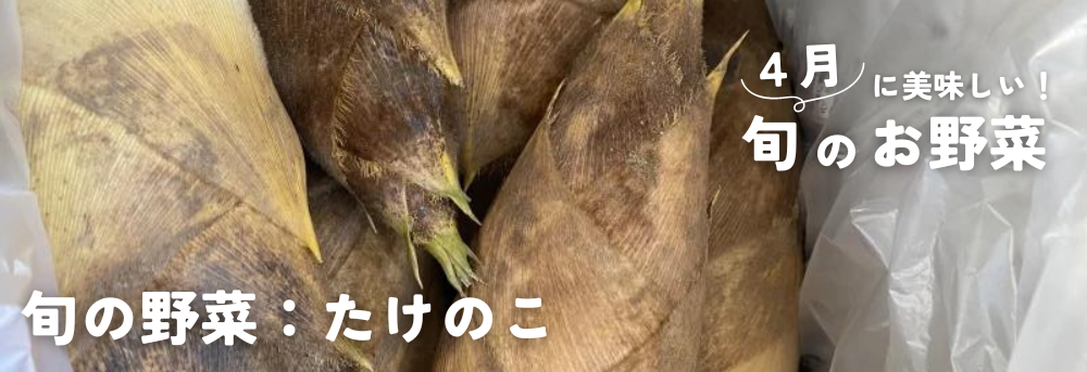 4月に旬の野菜:たけのこ