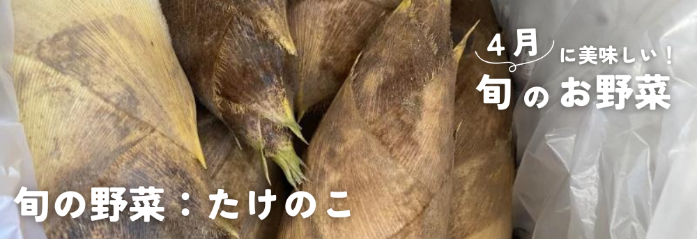 ４月に旬の野菜：たけのこ