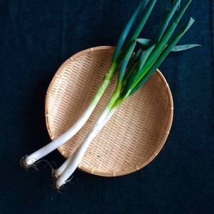【4月は豊作SALE30~40%OFF】農薬化学肥料不使用の鮮度抜群根付き白ネギ