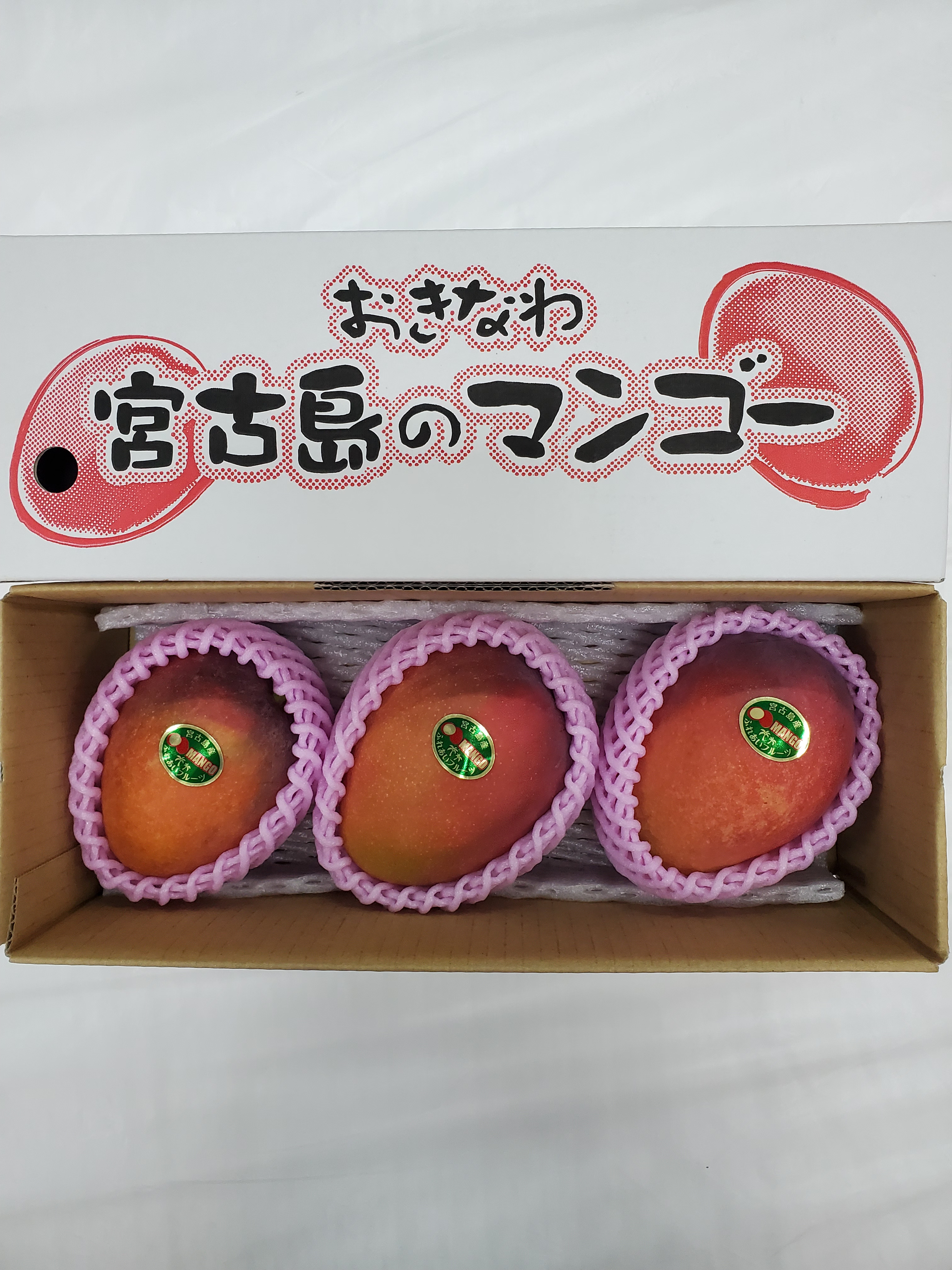 激うま‼️宮古島産(ご家庭用)アップルマンゴー1kg 6月中旬以降順次発送