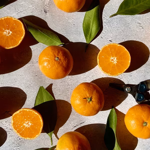 当園人気No.1【権兵衛みかん5kg】※家庭用