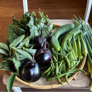 奥出雲産自然栽培野菜セット