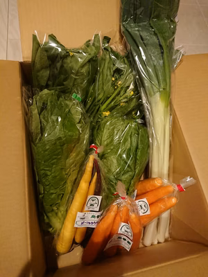 みんなの投稿の画像