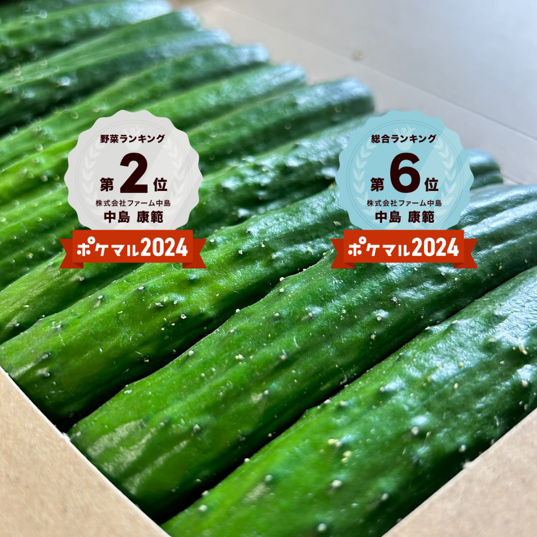 大容量‼️】2026新物『プレミアムおのんきゅうり』✨｜きゅうりの商品