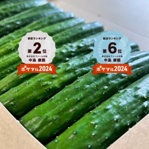 【送料無料‼️】『プレミアムおのんきゅうり』お待たせいたしました✨