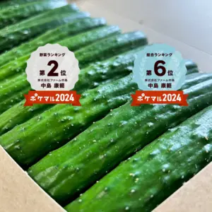 【送料無料‼️】朝採れたて新鮮『プレミアムおのんきゅうり』✨