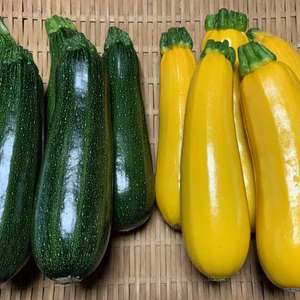 【豊作特価】希少な自然栽培のズッキーニ【10本セット】