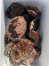 ☆北海道利尻島産☆活蝦夷鮑500g〜1kg