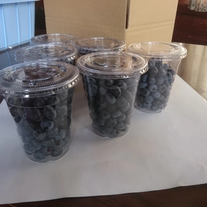 冷凍ブルーベリーs(12mm)サイズ カップ入り1kg