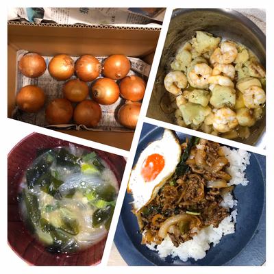 みんなの投稿の画像