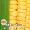 極甘！熊本県産スーパースイートコーン　風袋込５kg　約１０〜１４本