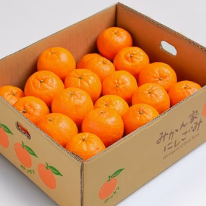 自然豊かな高知育ち・甘くてジューシーなポンカン