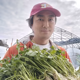 渡邉久義 | ひない渡辺農園しどけ村